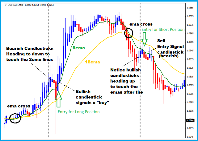 Best weekly options system