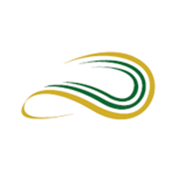 Other SEC Forms, Reports and Requirements