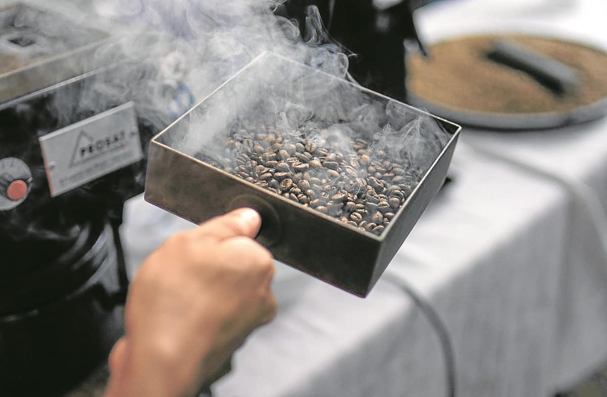 Coffee bean pricing perks up prospects for Philippine farmers